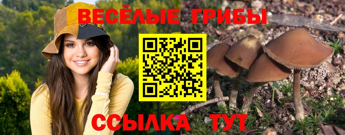 Галлюциногенные грибы GOLDEN TEACHER  Вход с VPN  Солнечногорск 